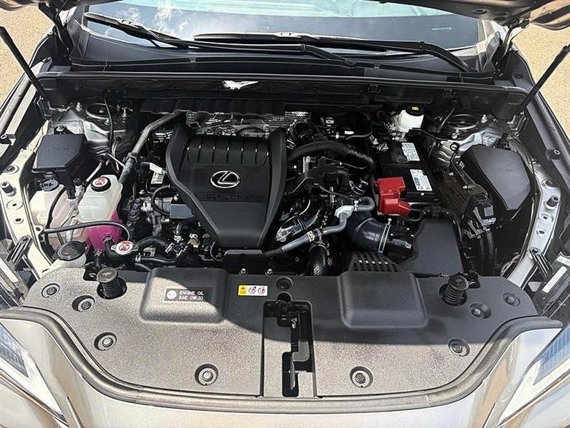 Lexus NX  2023