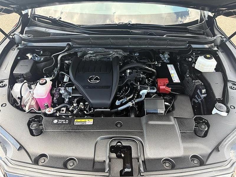 Lexus RX 350  2023