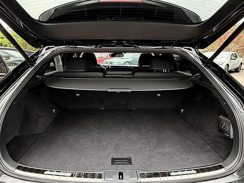 Lexus RX 350  2023