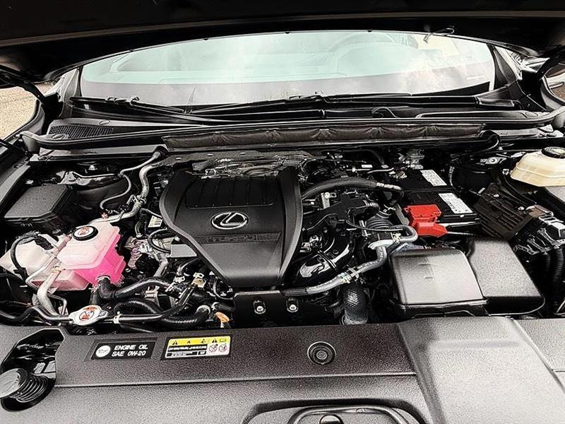 Lexus RX 350  2023