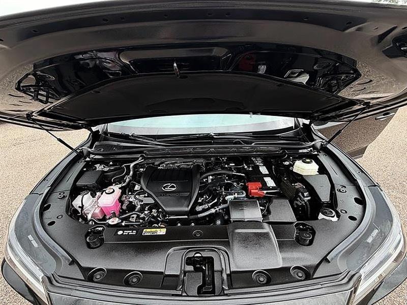 Lexus RX 350  2023