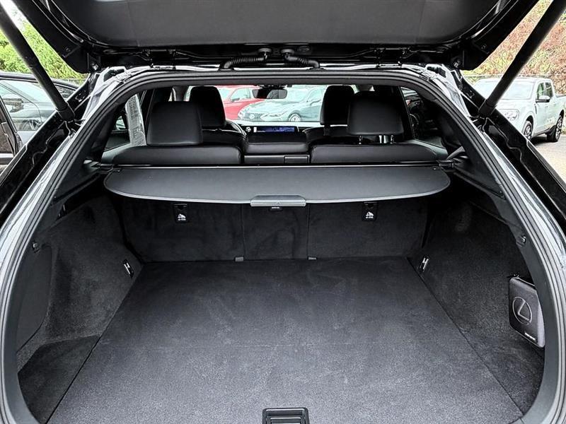 Lexus RX 350  2023