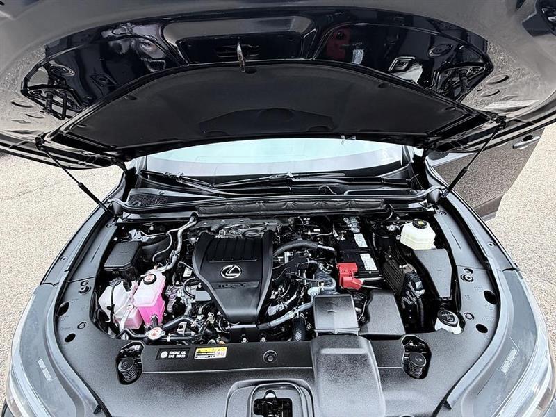 Lexus RX 350  2023