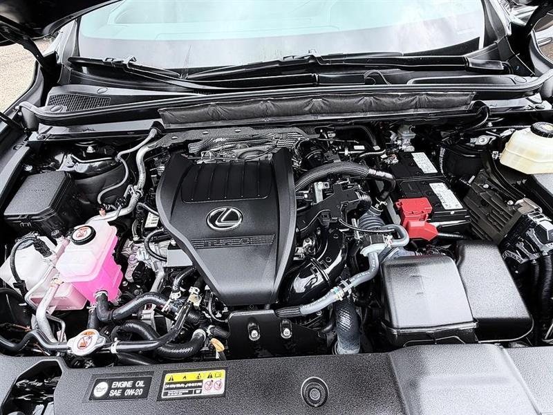 Lexus RX 350  2023