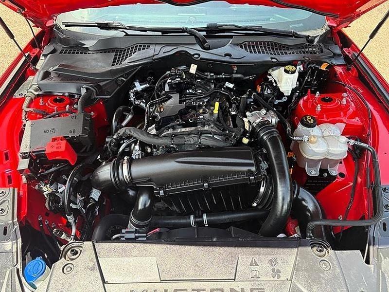 Ford Mustang  2024