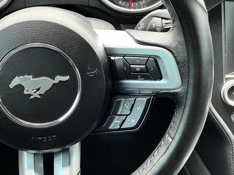 Ford Mustang  2022