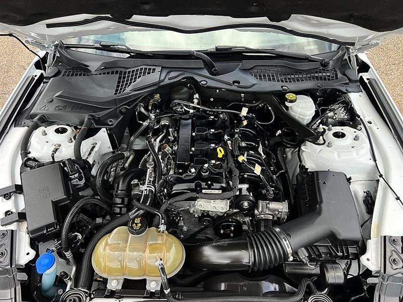 Ford Mustang  2022