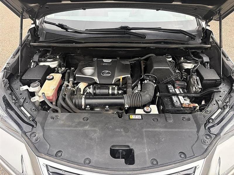 Lexus NX  2020