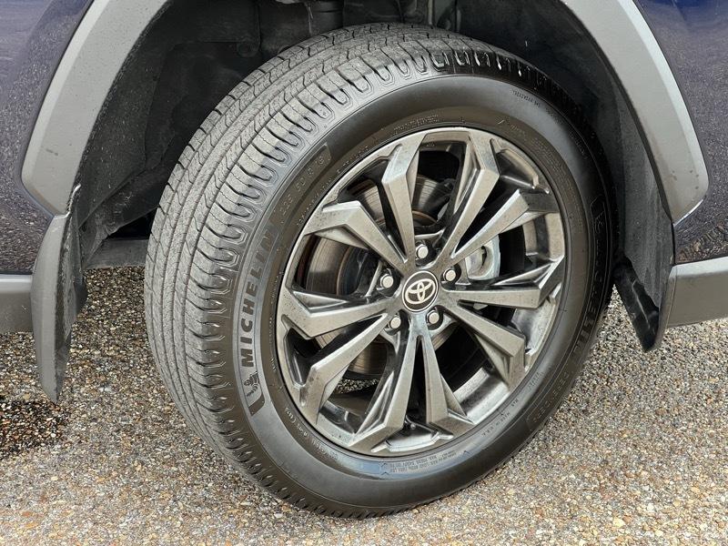Toyota RAV4 XLE Premium AWD 2024