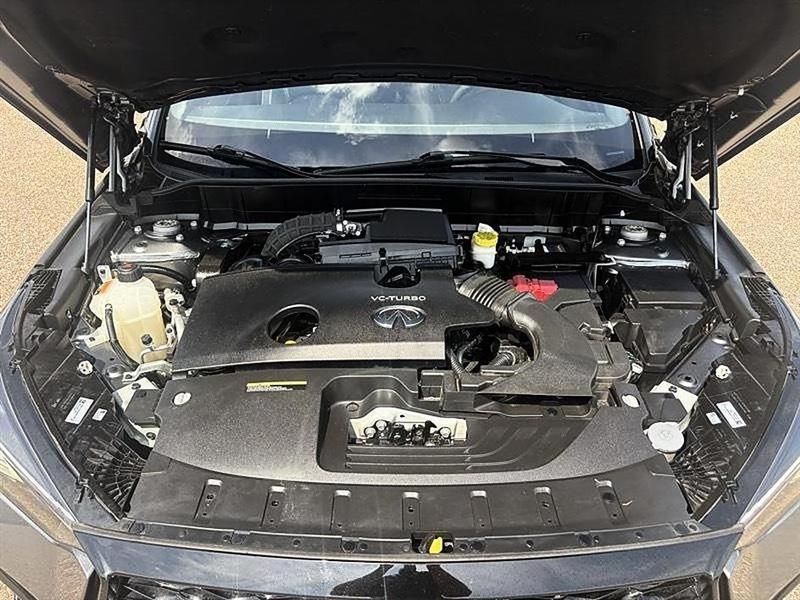 Infiniti QX50  2023