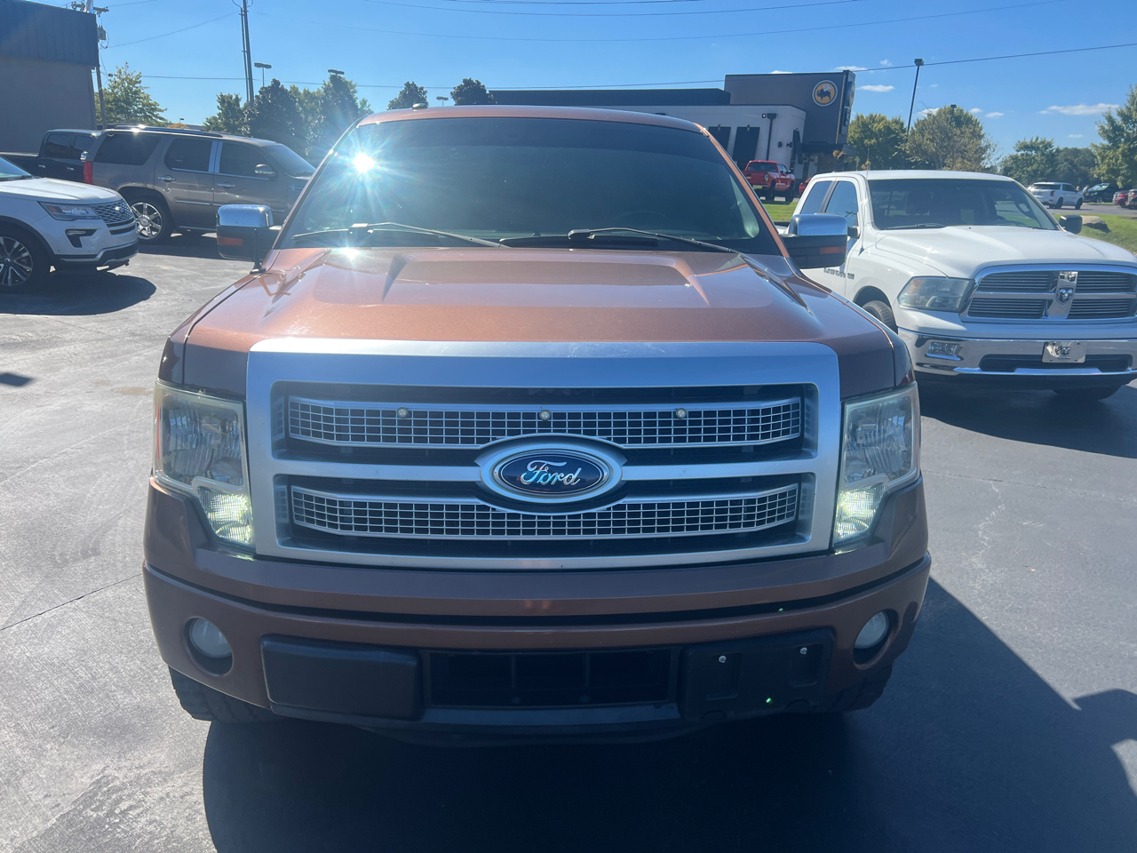Ford F-150 2WD SuperCrew 145" Platinum 2012