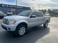 2012 Ford F-150  2012 Ford F-150