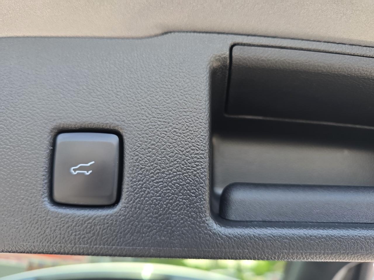 Ford Escape Active 2024
