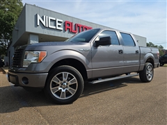 2014 Ford F-150  2014 Ford F-150