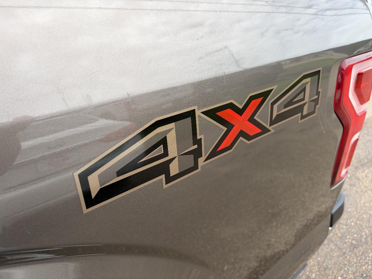 Ford F-150 4WD SuperCrew 145" XLT 2019