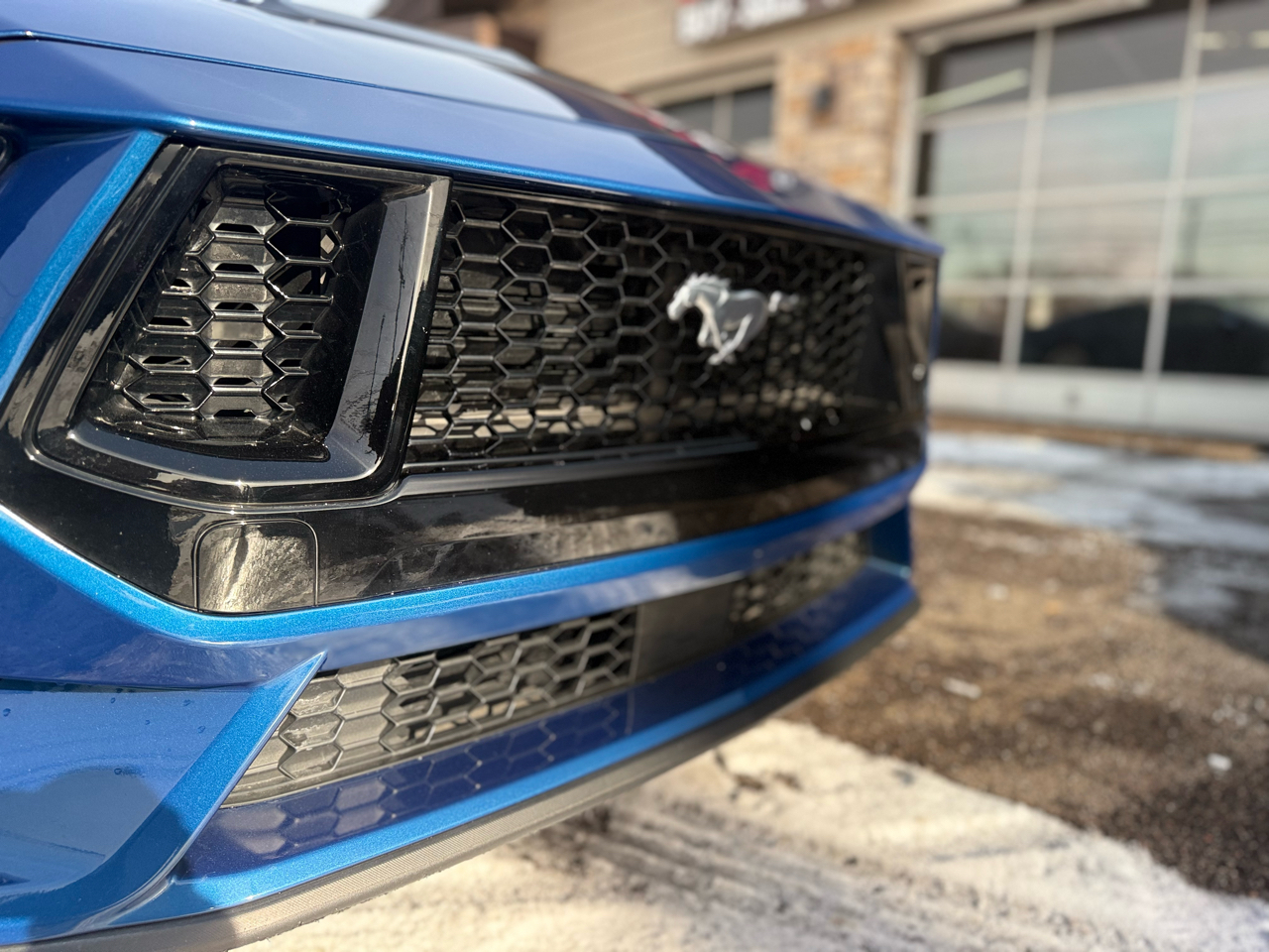 Ford Mustang GT Premium Coupe 2024