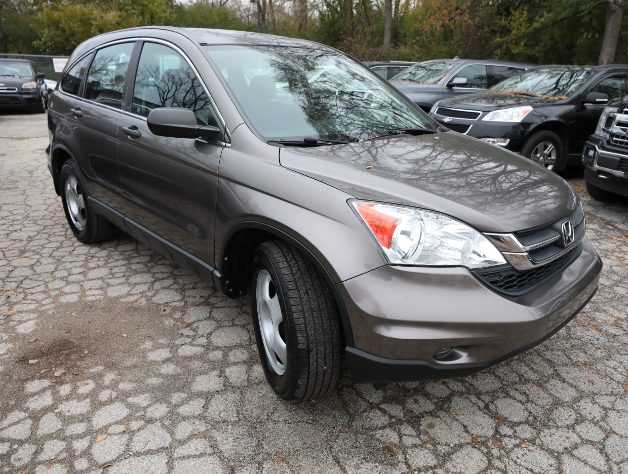 2010 Honda CR-V LX photo 3