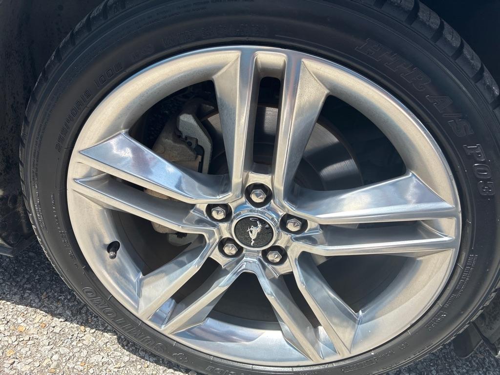 Ford Mustang EcoBoost Fastback 2020
