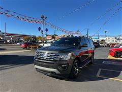 2021 Ford Expedition  2021 Ford Expedition