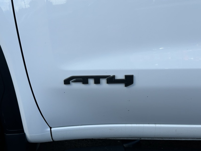 GMC Sierra 1500 4WD Crew Cab 147" AT4 2019