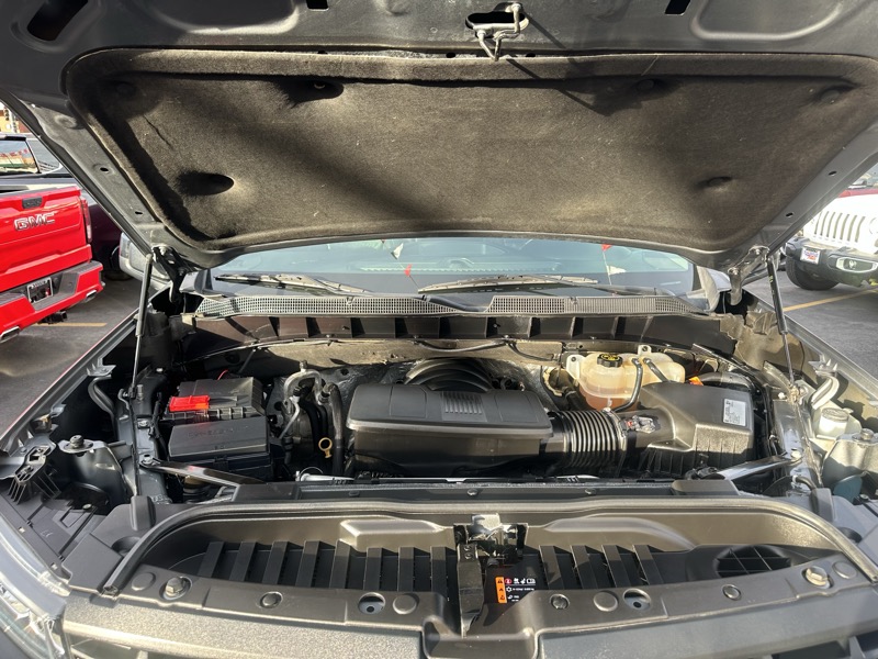 Chevrolet Silverado 1500 4WD Crew Cab 147" LT Trail Boss 2020