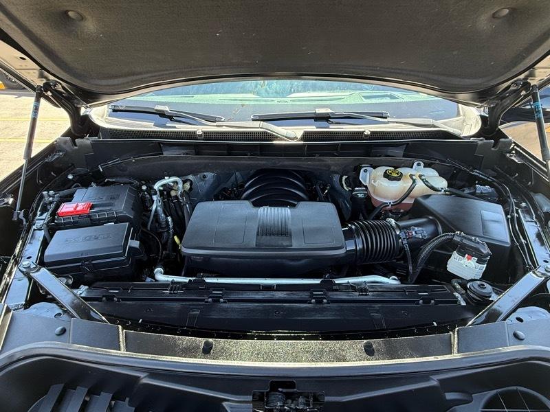 Cadillac Escalade 4WD 4dr Premium Luxury 2021