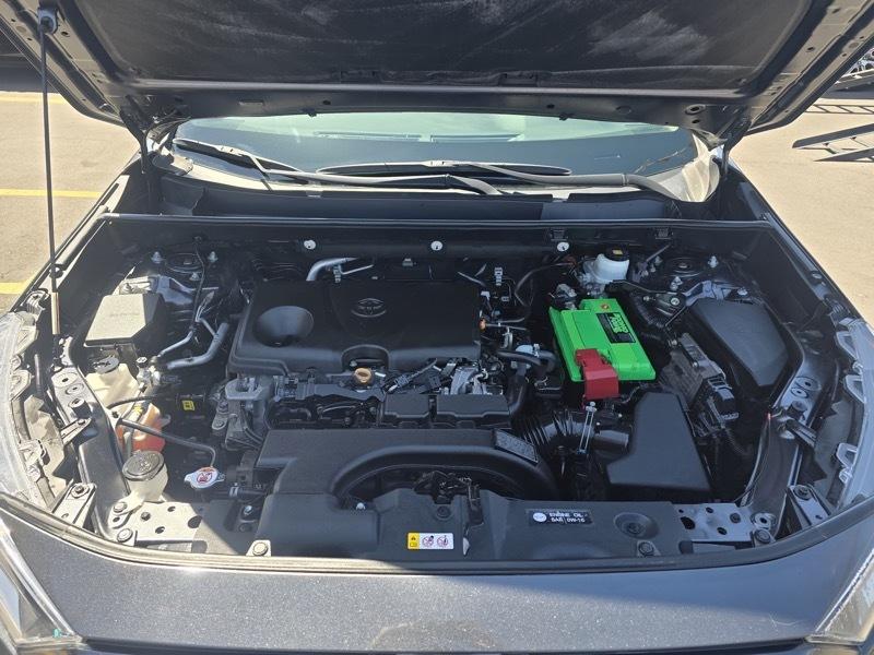 Toyota RAV4 XLE Premium AWD (Natl) 2021
