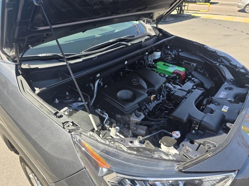 Toyota RAV4 XLE Premium AWD (Natl) 2021