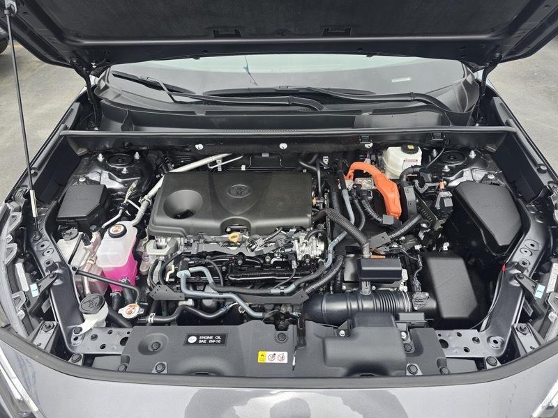 Toyota RAV4 Hybrid XLE AWD (Natl) 2025