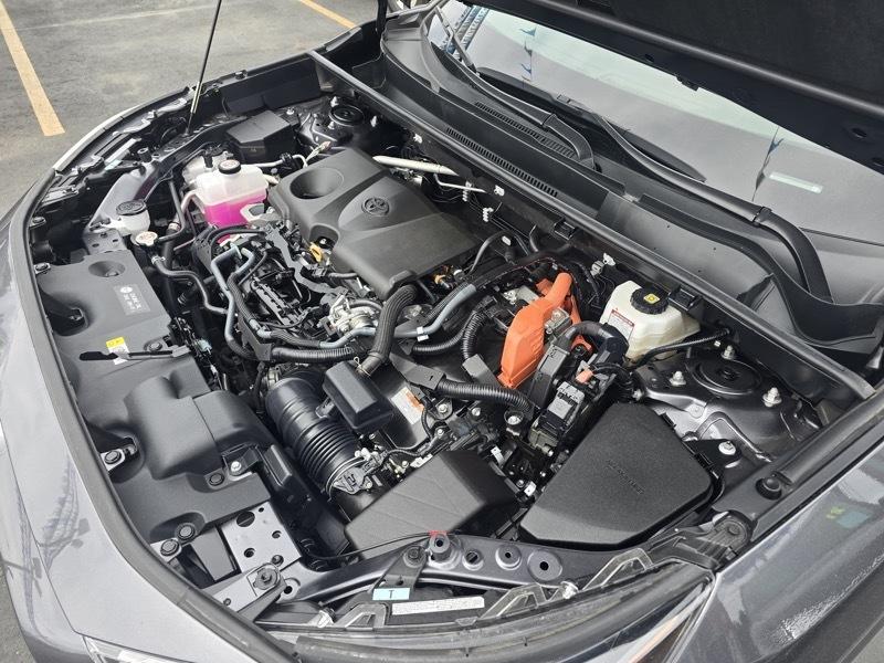 Toyota RAV4 Hybrid XLE AWD (Natl) 2025