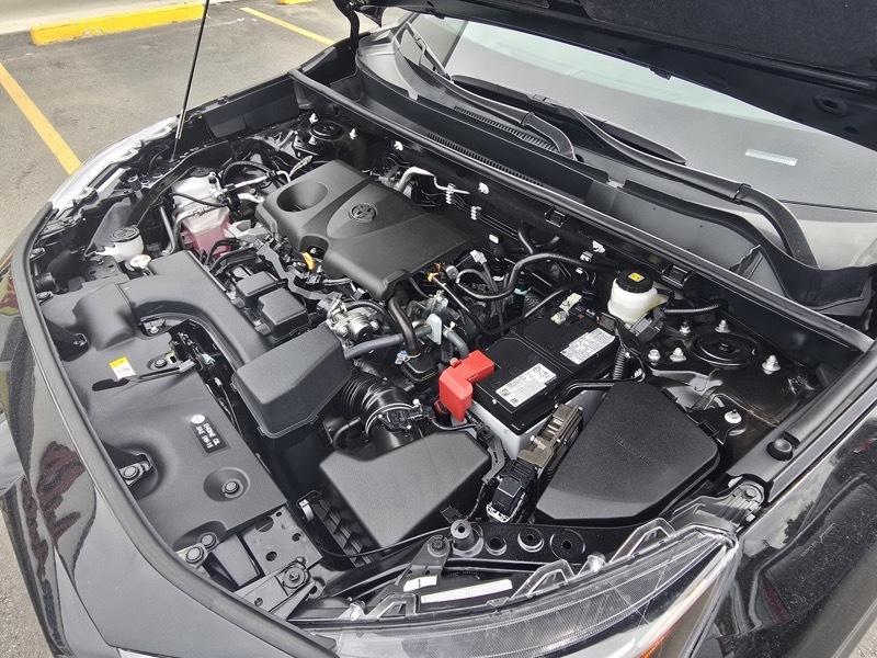 Toyota RAV4 LE AWD (Natl) 2025