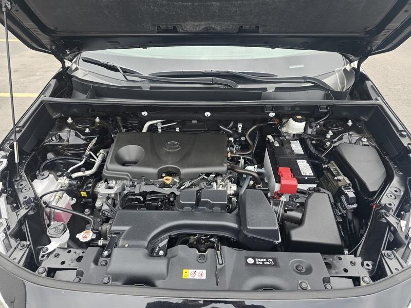 Toyota RAV4 LE AWD (Natl) 2025