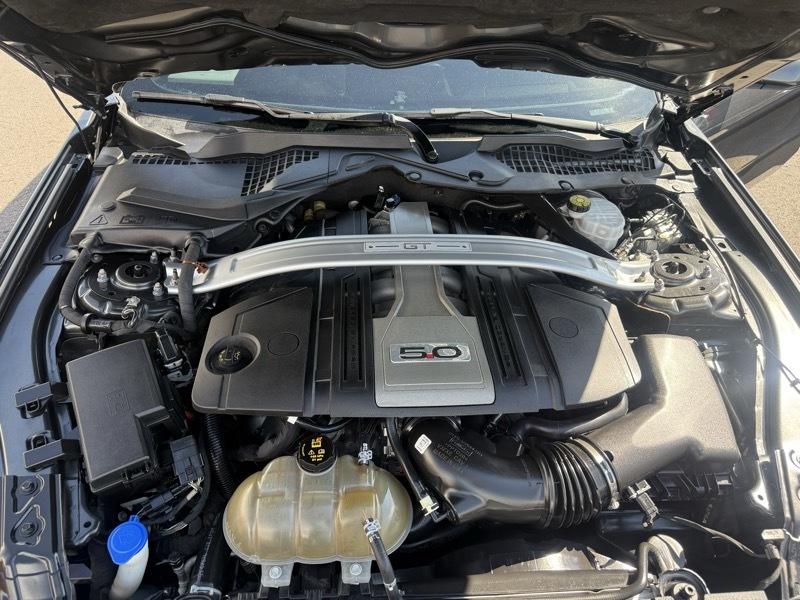 Ford Mustang GT Fastback 2020