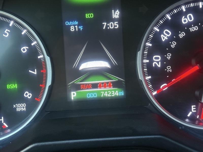 Toyota RAV4 XLE AWD (Natl) 2022