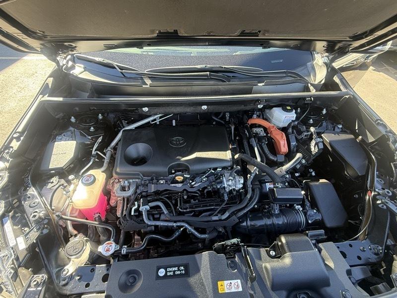 Toyota RAV4 Hybrid XLE AWD (Natl) 2024