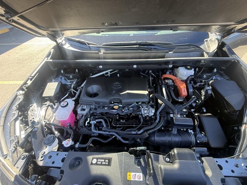 Toyota RAV4 Hybrid LE AWD (Natl) 2025
