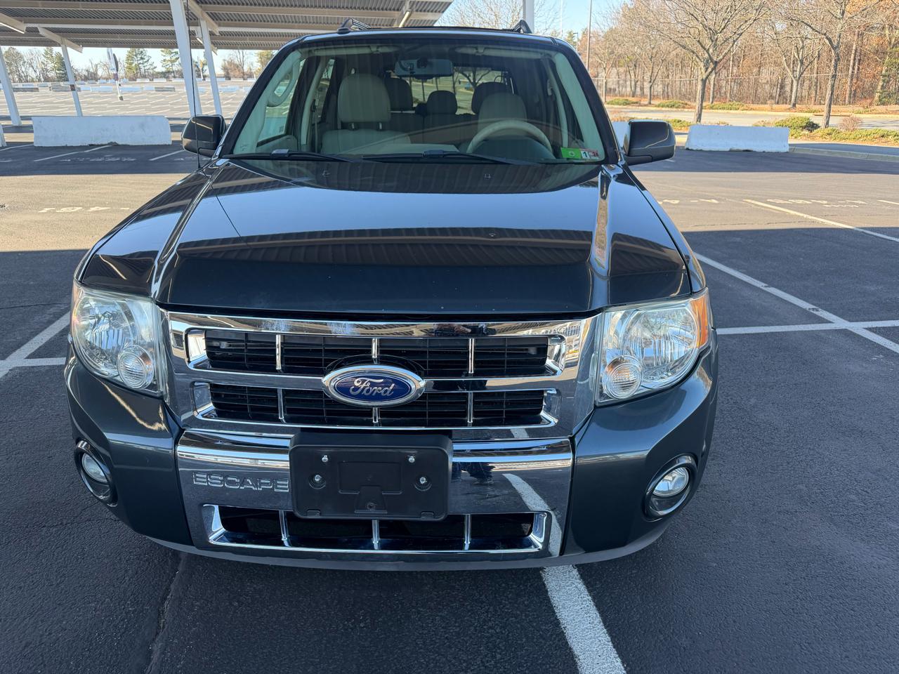 Ford Escape Hybrid FWD 2010