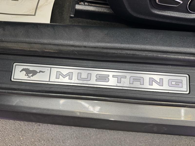 Ford Mustang EcoBoost Coupe 2015