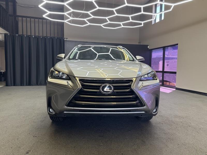 Lexus NX photo 2