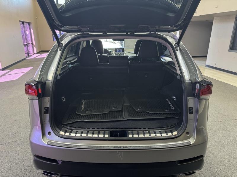 Lexus NX photo 19