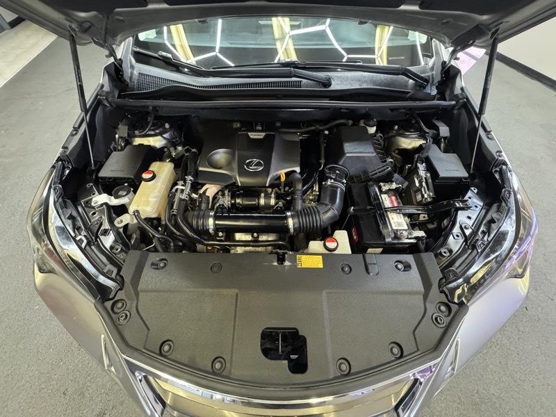 Lexus NX photo 21