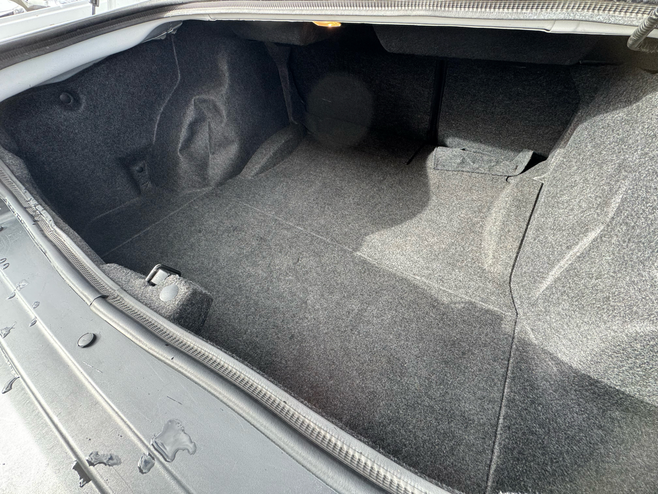 Dodge Challenger R/T Plus 2D Coupe 2019