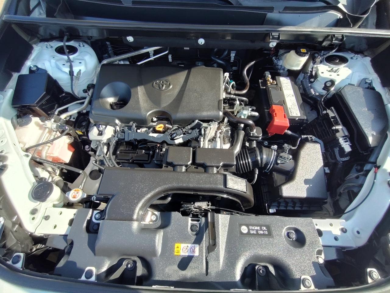 Toyota RAV4 XLE 2019