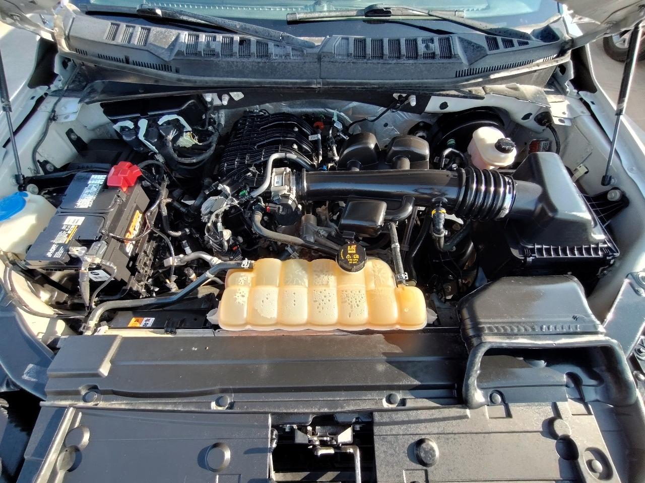 Ford F-150  2019