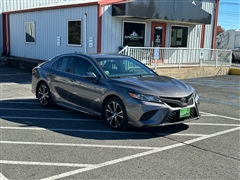 2019 Toyota Camry  2019 Toyota Camry