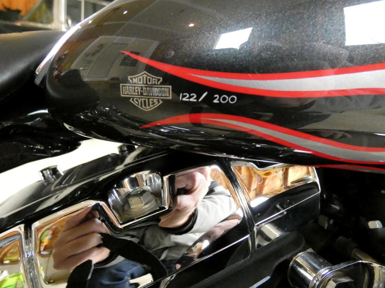 2004 Harley-Davidson FLSTFI 24