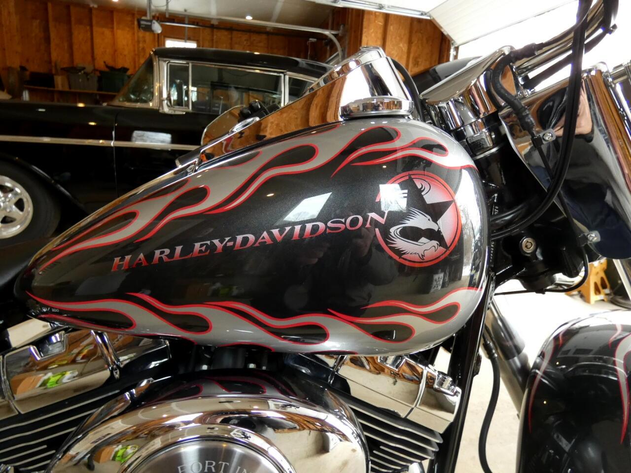 2004 Harley-Davidson FLSTFI 25