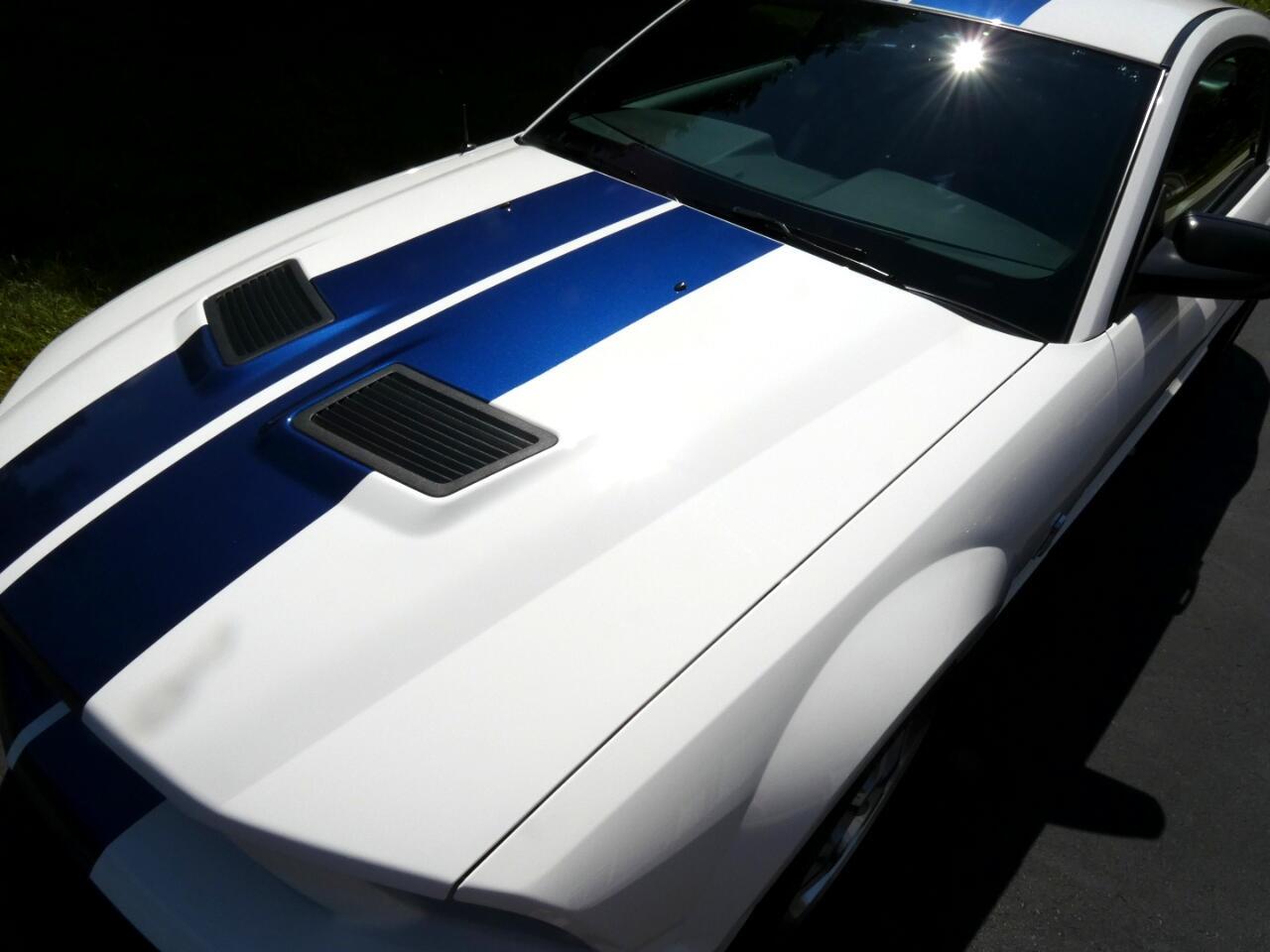 2007 Ford Shelby GT500 14
