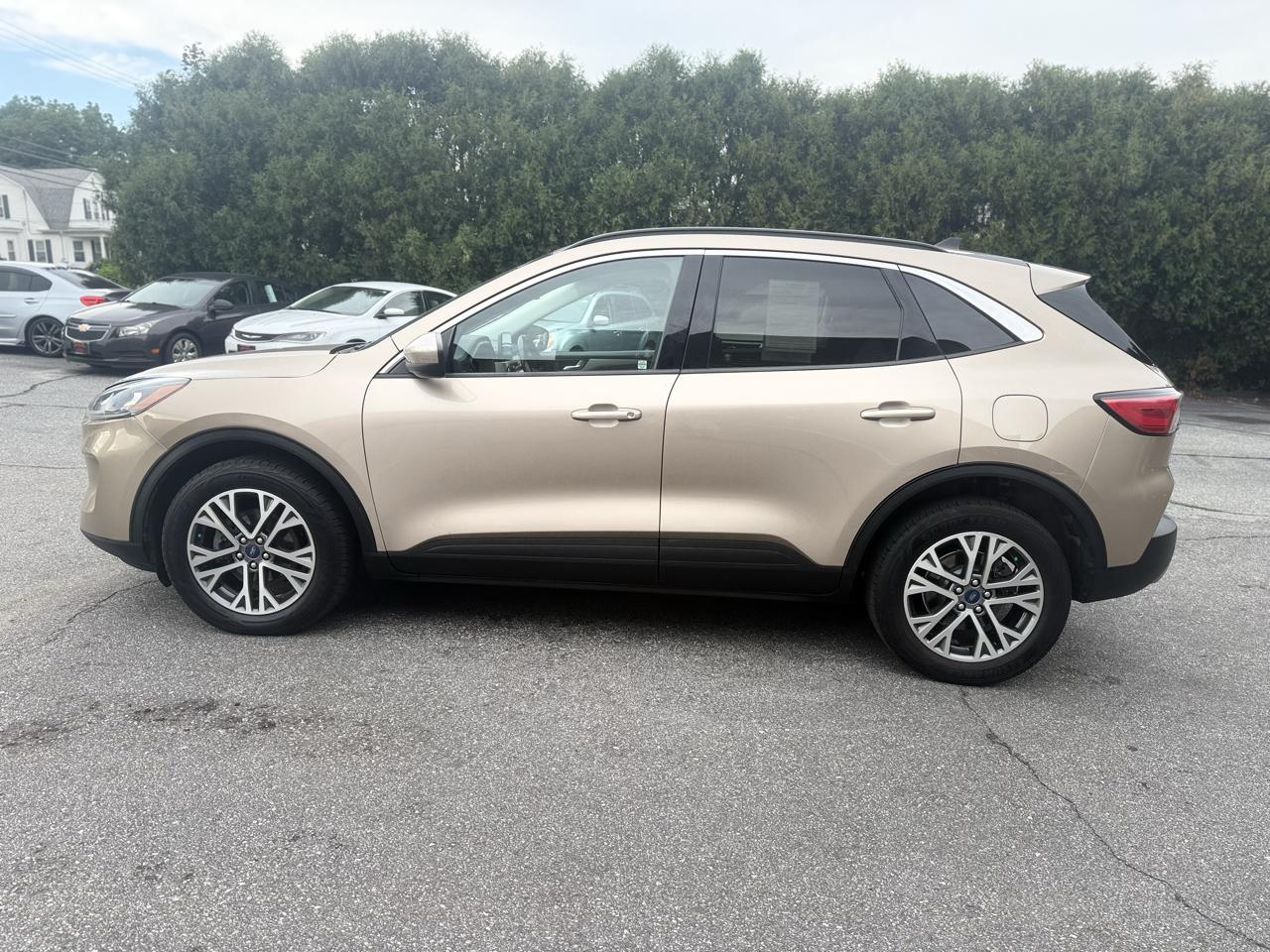 Ford Escape SEL 2.0L AWD 2021