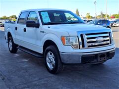 2009 Ford F-150  2009 Ford F-150